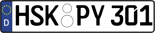 HSK-PY301