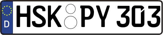 HSK-PY303