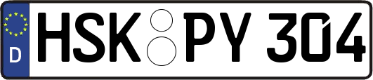 HSK-PY304