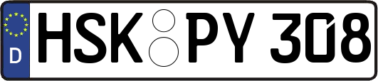 HSK-PY308