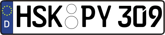 HSK-PY309
