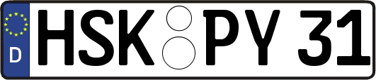 HSK-PY31