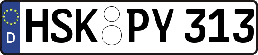 HSK-PY313