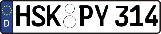 HSK-PY314