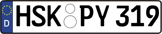 HSK-PY319