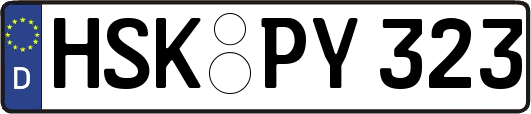 HSK-PY323
