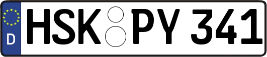 HSK-PY341