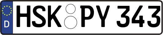 HSK-PY343