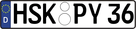 HSK-PY36