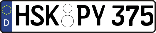 HSK-PY375