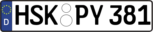 HSK-PY381