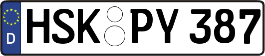 HSK-PY387