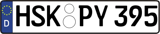 HSK-PY395