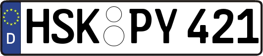 HSK-PY421