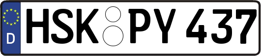 HSK-PY437