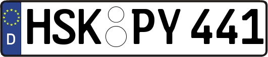 HSK-PY441