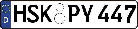 HSK-PY447
