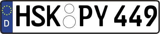 HSK-PY449