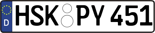 HSK-PY451