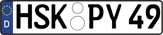 HSK-PY49