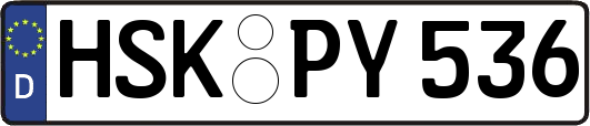 HSK-PY536