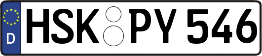 HSK-PY546