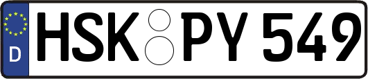 HSK-PY549