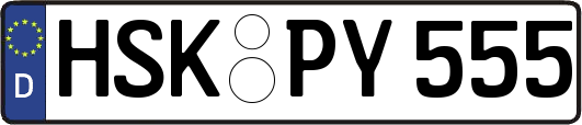 HSK-PY555