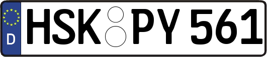 HSK-PY561