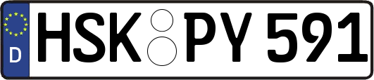 HSK-PY591