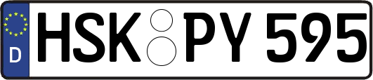 HSK-PY595