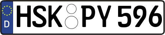 HSK-PY596