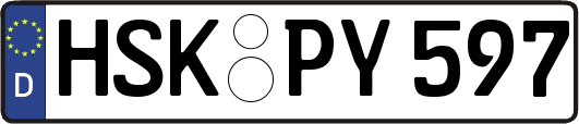 HSK-PY597