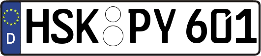 HSK-PY601