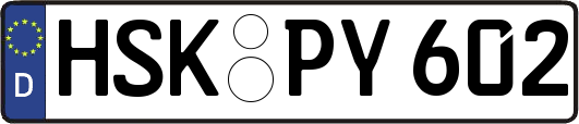 HSK-PY602