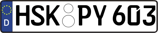 HSK-PY603