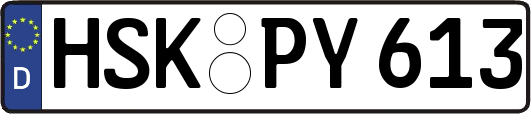 HSK-PY613
