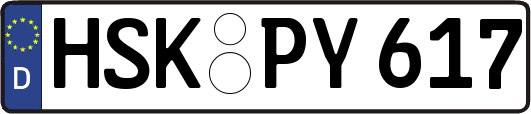 HSK-PY617
