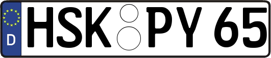 HSK-PY65
