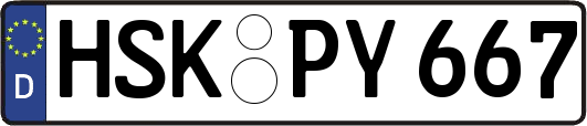 HSK-PY667