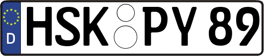 HSK-PY89