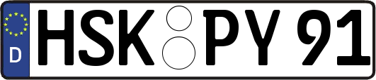 HSK-PY91