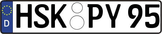 HSK-PY95