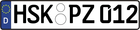 HSK-PZ012