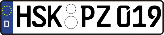 HSK-PZ019