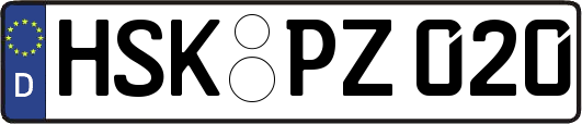 HSK-PZ020