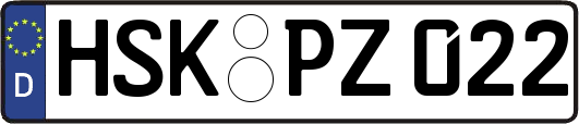 HSK-PZ022