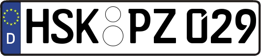 HSK-PZ029