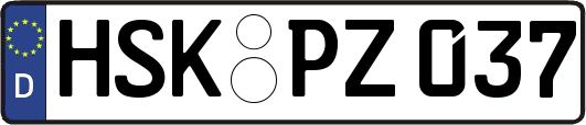 HSK-PZ037