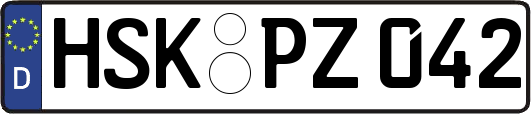 HSK-PZ042